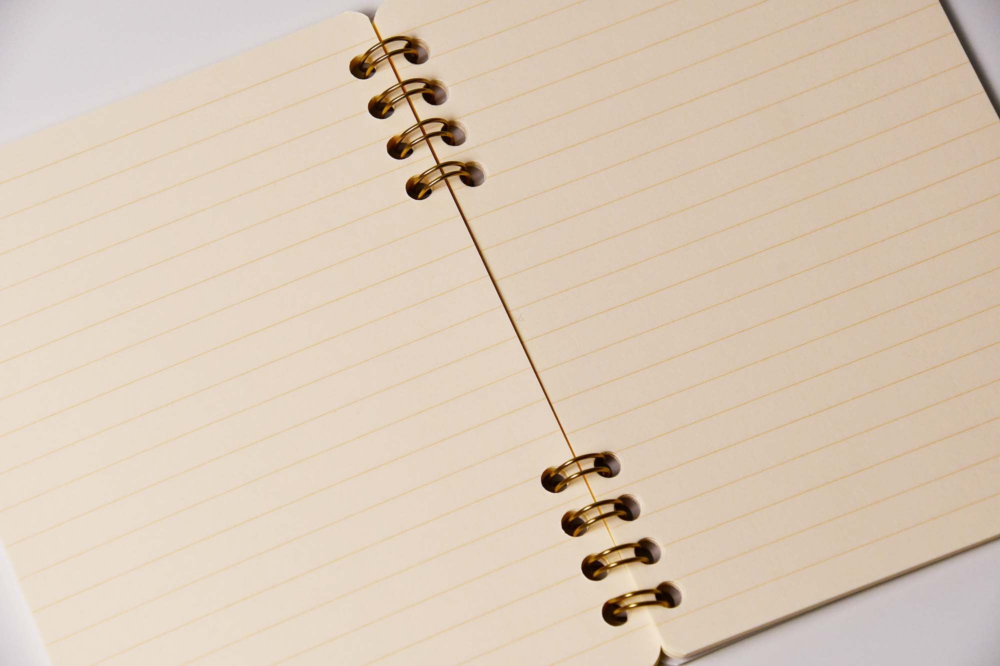 LIFE Ring Notebook A6 CINNAMON Lined N621 Stationery Made in Japan