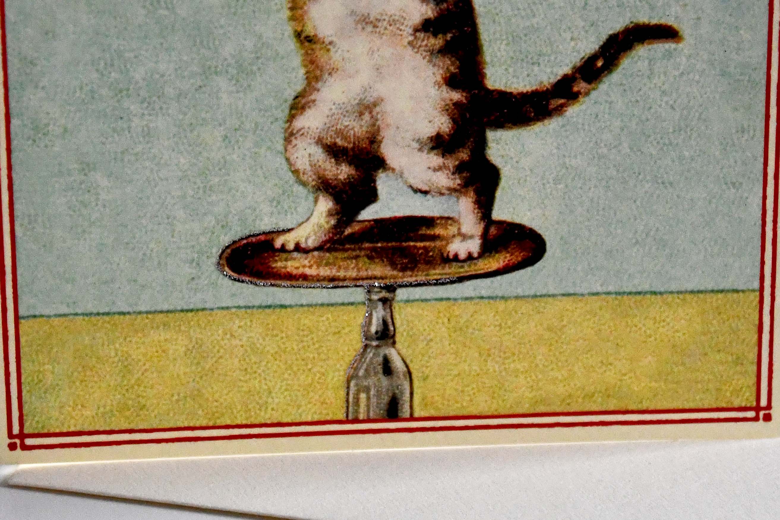 CAVALLINI&Co. Cat "Have a ball!" Happy Birthday Greeting Card