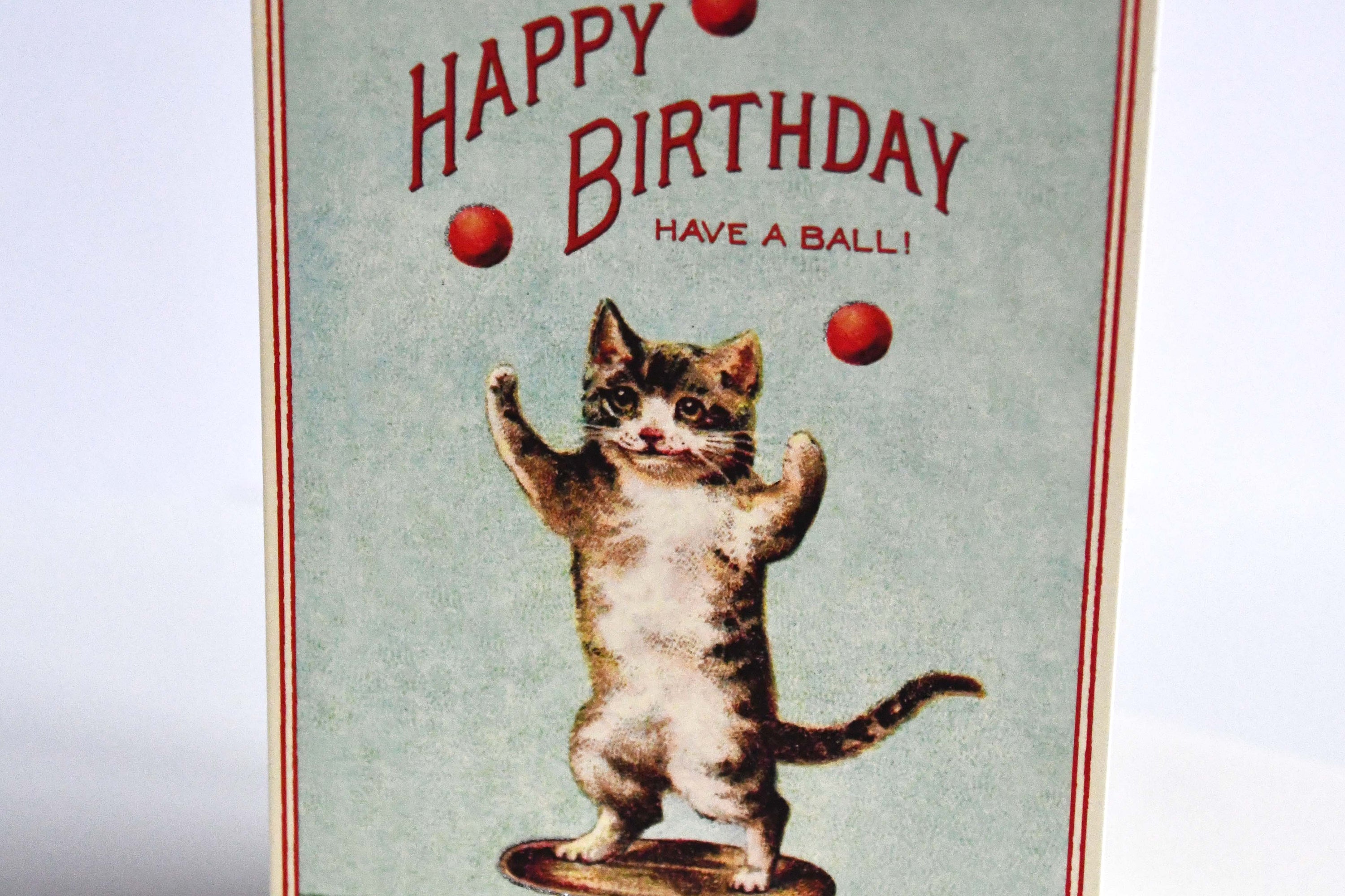 CAVALLINI&Co. Cat "Have a ball!" Happy Birthday Greeting Card