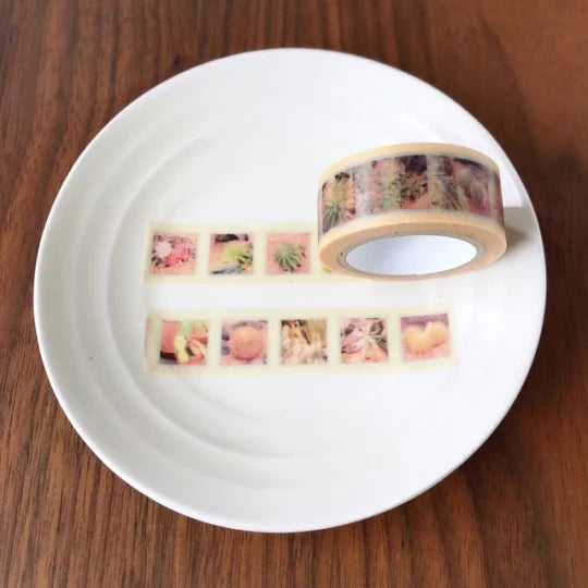 Kinoko Company Masking Tape Succulents