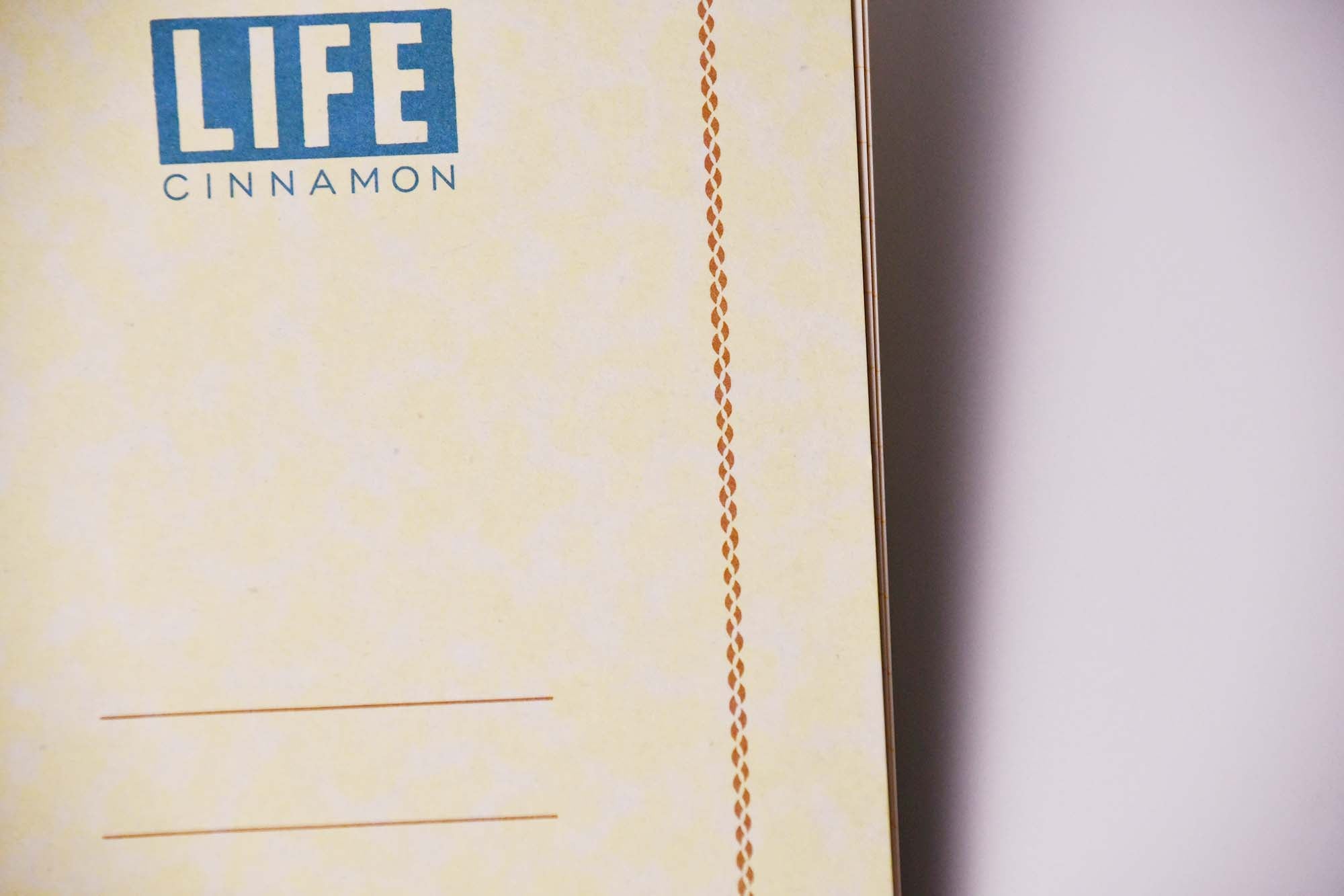 LIFE Ring Notebook A6 CINNAMON Lined N621 Stationery Made in Japan